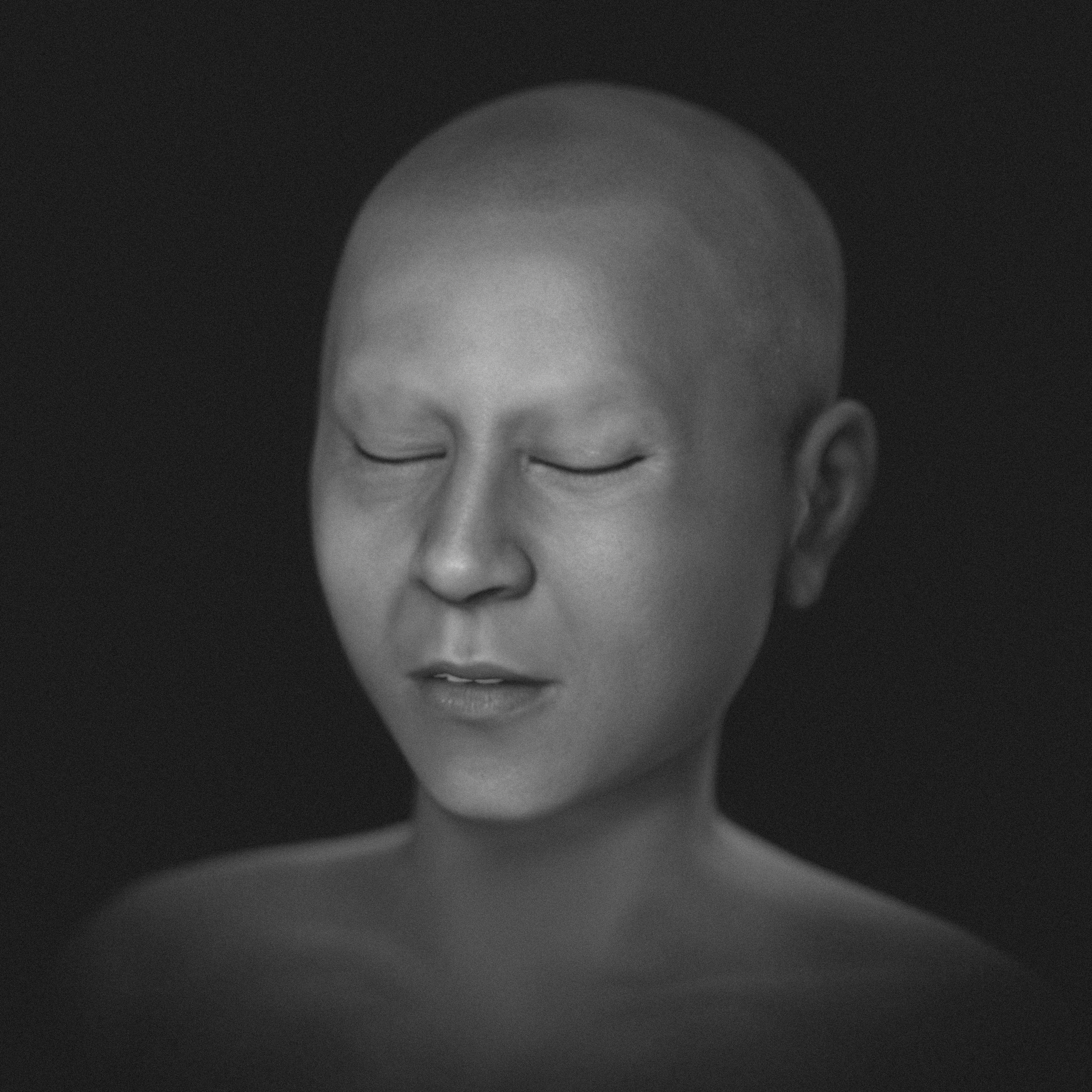 _images/Mere_FACE_0_obj_FINAL.jpg