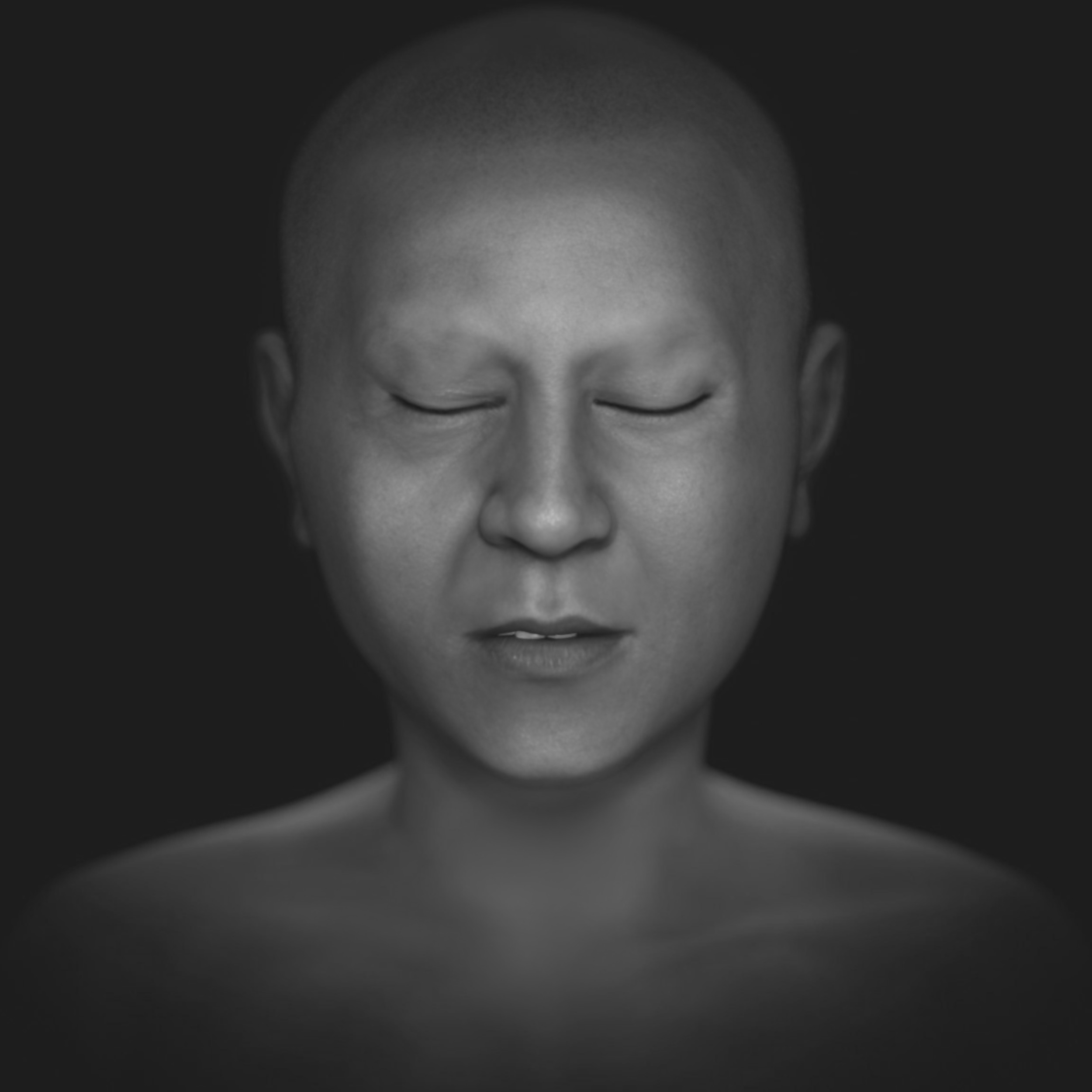 _images/Mere_FACE_2_obj_FINAL.jpg