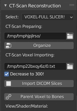 _images/Voxel_1.png