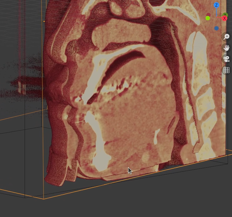 _images/Voxel_6.png